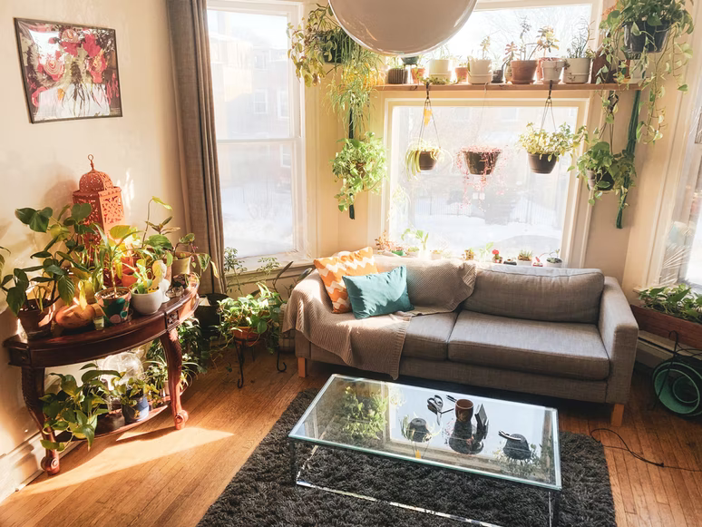 A living room with many plants